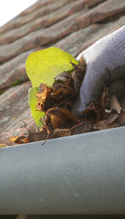 Gutter Cleaning About Us
