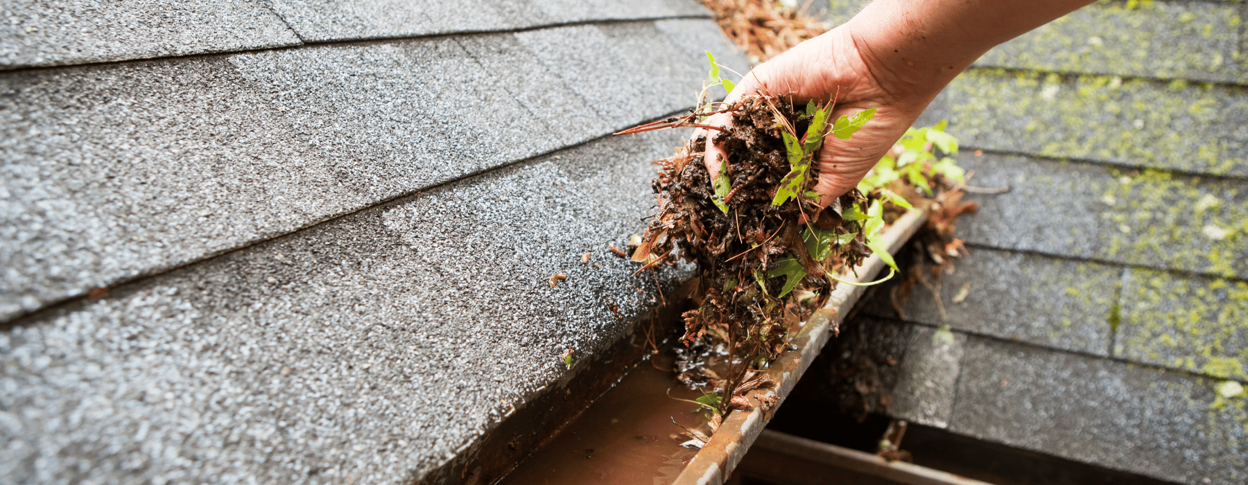Gutter Cleaning Essex