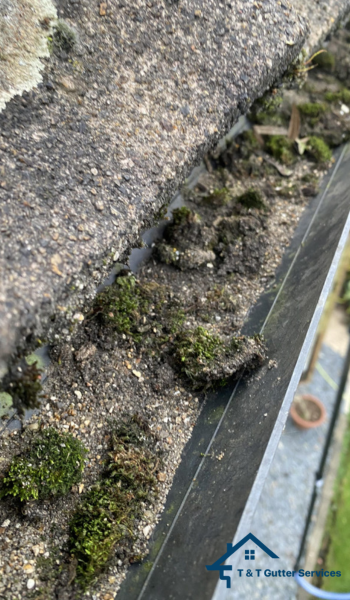 Brilliant Essex Gutter Cleaning Services Brilliant Essex Gutter Cleaning Services