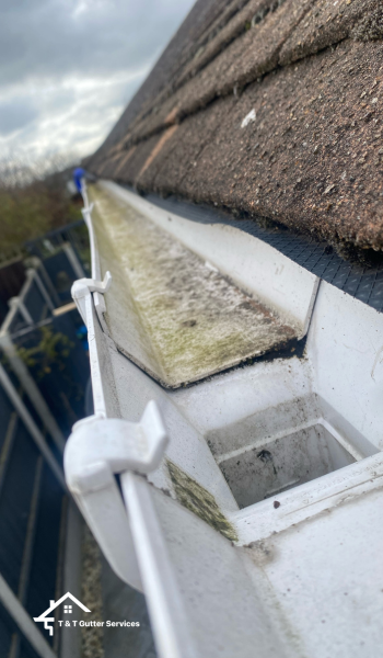 Clean Gutters