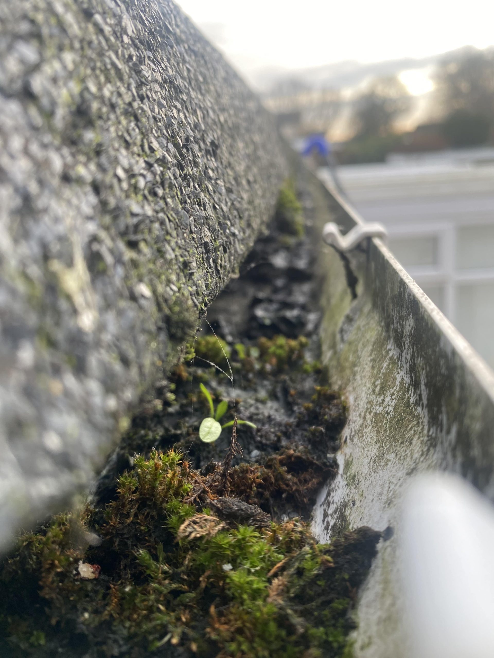 Dirty Gutter Cleaning
